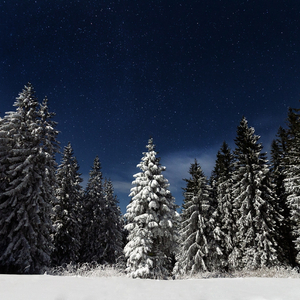 老太太乱伦免费视频

