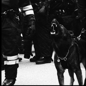 老太太乱伦免费视频
